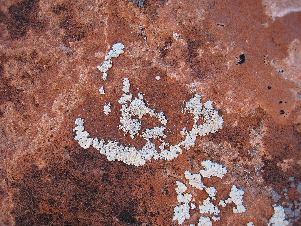 Las Vegas 2010 - Red Rock 0691.JPG - The 2010 Las Vegas Fire - Ice and Sweat Tour. Half Marathon, Red Rock Canyon, Casinos, Valley of Fire.... and buffets!